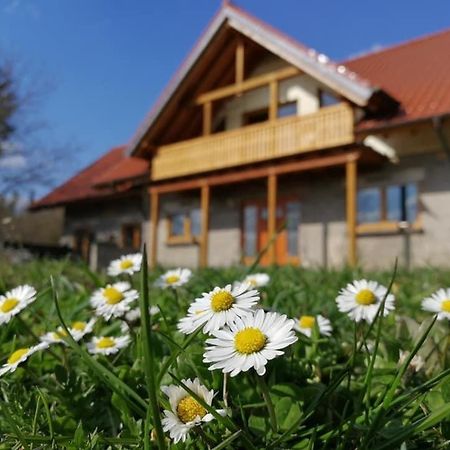 Wandertraum Johann - Fewo Eifel Kruft Esterno foto