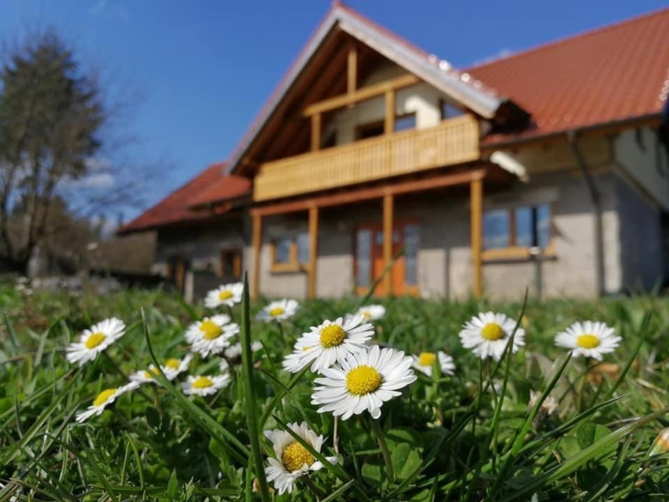 Wandertraum Johann - Fewo Eifel Kruft Esterno foto